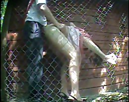 初心者に休憩を取得します。